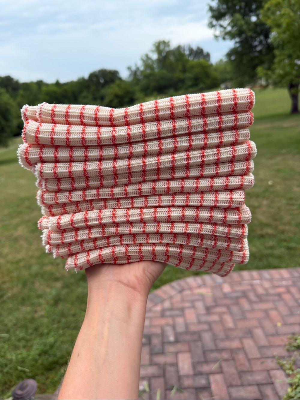 Amish Store World’s Best Dishcloths